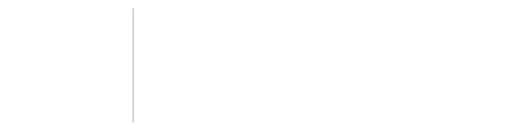 Brenda G. Levy Associates, LLC